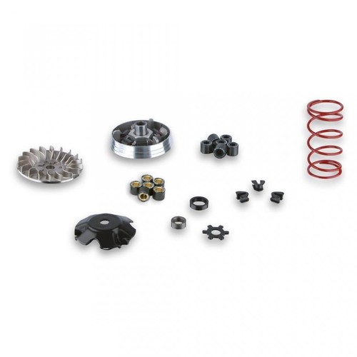 Variateur malossi pour - malossi,